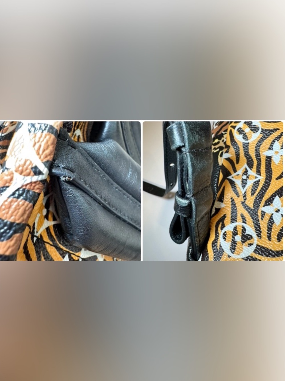 Louis Vuitton Jungle Monogram Giant Palm Springs PM Backpack - Picture 16 of 16